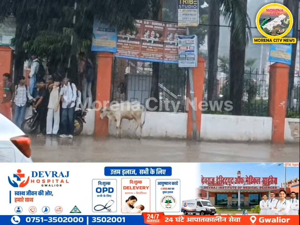 मुरैना में झमाझम बारिश, मौसम हुआ सुहाना; बारिश से मिली गर्मी से राहत
मुरैना शहर में आज मौसम ने करवट ली है। तेज बारिश का दौर शुरू होने से लोगों को गर्मी और उमस से राहत मिली है। मौसम विभाग के अनुसार आज मुरैना में बारिश की संभावना बनी हुई है।
#मुरैना #morena #बारिश