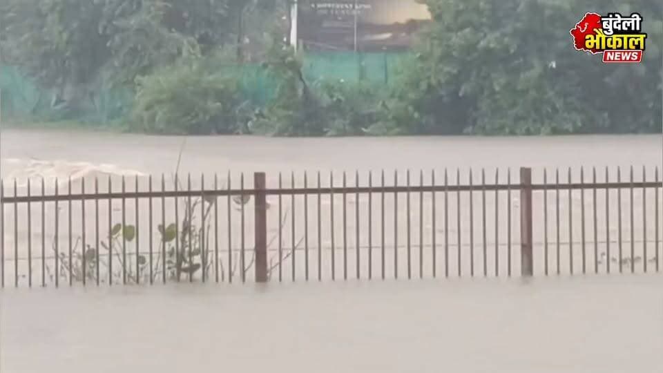 खजुराहो में मूसलाधार बारिश के बाद बाढ़ जैसे हालात
Khajuraho Flood Today #khajuraho #bundelkhand #baarish #flood