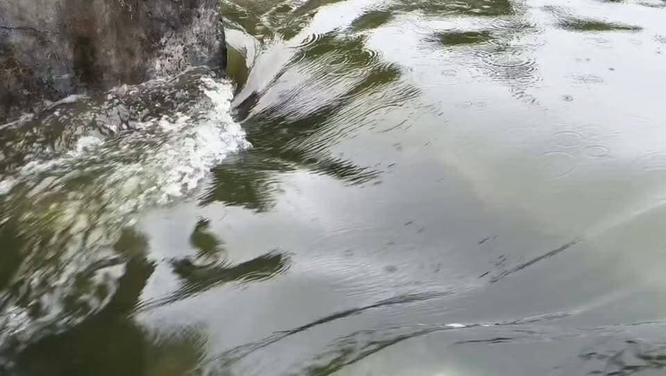 छतरपुर में बारिश का असर! संकट मोचन तालाब उफान पर!
लगातार बारिश के बाद शहर का संकट मोचन तालाब उफान पर आ गया है। तालाब में पानी बढ़ने से आसपास के इलाकों में भी लोगों की नजरें बनी हुई हैं।
⚠️ जलस्तर बढ़ने के बीच लोगों से सावधानी बरतने और पानी के तेज बहाव वाले स्थानों से दूरी बनाए रखने की अपील।
📍 छतरपुर | Bundeli भौकाल न्यूज़
#छतरपुर #संकटमोचनतालाब #बारिश #RainAlert #Chhatarpur #MadhyaPradesh #BreakingNews