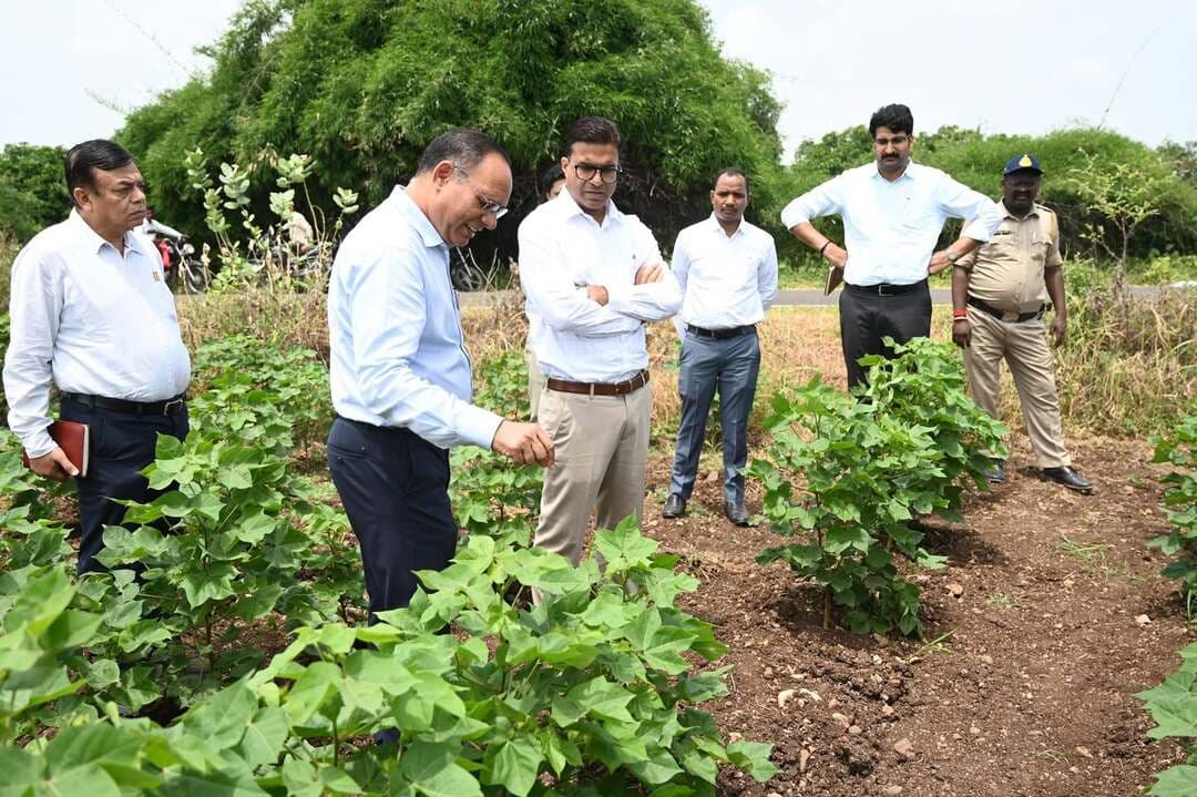 कलेक्टर श्री राजीव रंजन मीना ने कपास उत्पादकता मिशन योजनान्तर्गत क्लोजर स्पेसिंग तकनीक फसल प्रदर्शन के तहत मनावर विकासखंड के कृषक दिनेश के खेत पहुंचकर यहां लग गए बायोसिड 6001 कपास की फसल को देख उप संचालक कृषि से आवश्यक जानकारियां ली।
Department of Agriculture, Madhya Pradesh Jansampark Madhya Pradesh