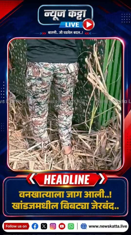 🚨BARAMATI BREAKING : खांडजमध्ये धुमाकूळ घालणारा बिबट्या अखेर जेरबंद..!
बारामती तालुक्यातील खांडज परिसरात बिबट्याच्या वावरामुळे शेतकरी त्रस्त झाले होते. बिबट्याला जेरबंद करण्यासाठी आंदोलनेही झाली… अखेर वनखात्याने कारवाई करत आज बिबट्याला जेरबंद करण्यात यश मिळवलं.. त्यामुळं शेतकऱ्यांना दिलासा मिळाला असून वनखात्यानं यापुढेही बिबट्यांच्या वावरानंतर ठोस पावले उचलावीत अशी अपेक्षा व्यक्त होत आहे.
#baramatikar #leopard #farmer #viral #viralreels