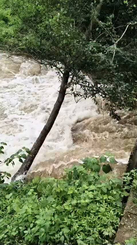 🚨 गोरियरा बांध का पानी सीधी-टिकरी मुख्य मार्ग पर ओवरफ्लो, सड़क पर बह रहा पानी
सीधी। जिले में लगातार हो रही बारिश के बीच गोरियरा बांध खतरे के निशान को पार कर गया है। बांध का पानी अब सुबह से ओवरफ्लो होकर सीधी-टिकरी मुख्य मार्ग पर बहने लगा है।
सड़क के ऊपर से पानी बहने की जानकारी मिलते ही आसपास के लोग मौके पर एकत्रित हो गए। इस दौरान कुछ लोग सड़क पर बह रहे पानी के पास मछली पकड़ते हुए भी नजर आए।
बांध के पानी के सड़क पर पहुंचने से मार्ग पर आवागमन प्रभावित होने की आशंका बनी हुई है। लगातार बारिश के कारण जलस्तर और बढ़ने की स्थिति में प्रशासन को यातायात एवं सुरक्षा को लेकर तत्काल निगरानी बढ़ाने की जरूरत है।
वीडियो में देखें—गोरियरा बांध का पानी किस तरह सीधी-टिकरी मुख्य मार्ग पर ओवरफ्लो होकर बह रहा है।