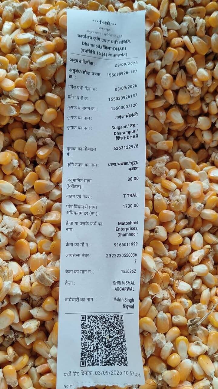 आज धामनोद मंडी में नई गीली मक्का 1690 से लेकर 1900 तक बिकी, कुछ कम नमी वाली मक्का के वाहन 2200 तक बिके...
सूकी मक्का के साथ साथ गीली मक्का में भी अच्छी तेजी...
Dhamnod Mandi Bhav - धामनोद मंडी भाव #dhamnodmandibhav #makkakabhav #makkarates #makkamandibhav #mandinews #newsfeed #khetibadi #Munafa #naimakka