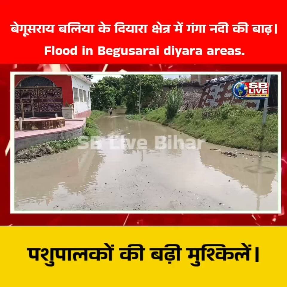 बेगूसराय बलिया के दियारा क्षेत्र में बाढ़ ले रहा रौद्र रूप /
Flood in begusarai village Diyara areas.
#flood #FloodNews #floodarea #Flood2026 #flooding #Begusarai #bihar #BiharNews #india #usa #USATrends #village #areasprotegidas #villagelifestyle #villagelife #diyarbakır