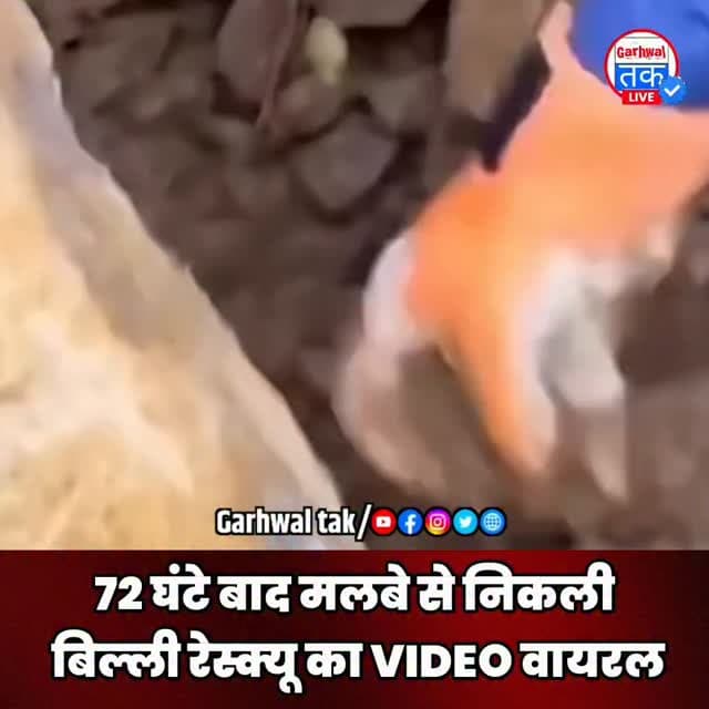 नेपाल आपदा के बीच 72 घंटे बाद मलबे में फंसी बिल्ली का रेस्क्यू किया गया। रेस्क्यू टीम ने कड़ी मशक्कत के बाद बिल्ली को सुरक्षित बाहर निकाला। रेस्क्यू के दौरान बिल्ली लगातार चिल्लाती नजर आई। इस पूरी घटना का वीडियो सोशल मीडिया पर तेजी से वायरल हो रहा है। आपदा के बीच सामने आया यह रेस्क्यू लोगों का ध्यान खींच रहा है।