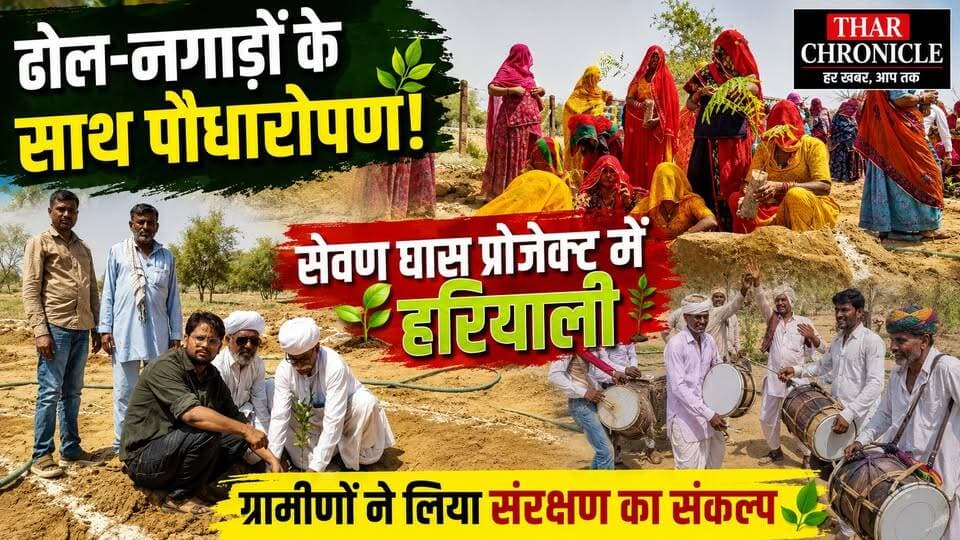 खेतोलाई के सेवण घास प्रोजेक्ट में पौधारोपण, ग्रामीणों ने लगाए विभिन्न प्रजातियों के पौधे | Pokaran News