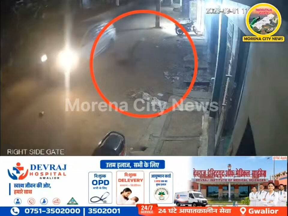 मुरैना में हिट एंड रन का खौफनाक VIDEO! राहगीर को ट.क्कर मारकर फरार हुआ अर्टिगा चालक, CCTV में कैद हुई पूरी करतूत
मुरैना में हिट एंड रन का मामला सामने आया है। कोतवाली थाना क्षेत्र के नैनागढ़ रोड पर 1 अगस्त की रात करीब 11 बजे सिद्ध नगर निवासी 18 वर्षीय संगीत सिंकरवार पुत्र रविन्द्र सिंकरवार को तेज रफ्तार अर्टिगा कार ने पीछे से ट.क्कर मार दी। हादसे में संगीत गंभीर रूप से घायल हो गया। लोगों ने उसे जिला अस्पताल पहुंचाया। वहीं, ट.क्कर के बाद अर्टिगा चालक मौके से फरार हो गया। पूरी घटना CCTV कैमरे में कैद हुई है। कोतवाली पुलिस ने मामला दर्ज कर फुटेज के आधार पर आरोपी चालक की तलाश शुरू कर दी है। थाना प्रभारी अमित भदौरिया ने जल्द चालक की गिरफ्तारी की बात कही है।
#मुरैना #morena #पुलिस