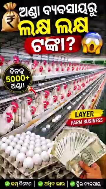 💰 ଅଣ୍ଡା ବ୍ୟବସାୟରୁ ଲକ୍ଷ ଲକ୍ଷ ଟଙ୍କା? 😱 | Layer Farm Business #chashi360 #ecpoultryfarm #farming