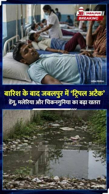 जबलपुर में बारिश के बाद बढ़ा Dengue-Malaria का खतरा! अस्पतालों में बढ़े बुखार के मरीज | Jabalpur