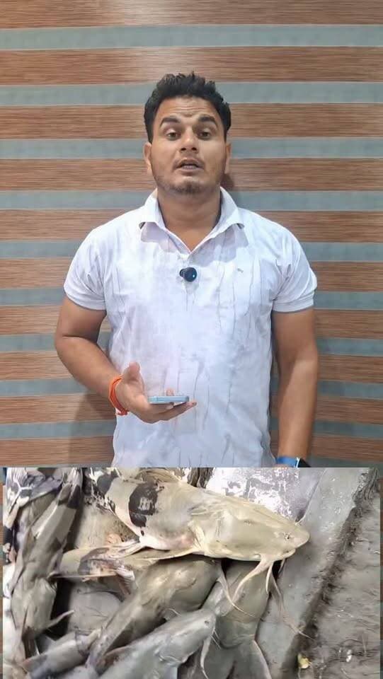 🐟 गोपालगंज में गंडक नदी से बहकर आईं मरी हुई मछलियां, खाने के बाद कई लोग बीमार