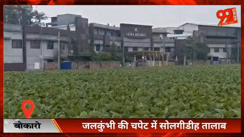 बोकारो : जलकुंभी से पटा सोलगीडीह तालाब, सफाई व्यवस्था पर उठे सवाल
#SolgidihLake #Bokaro #Chas #WaterHyacinth #SaveSolgidihLake #LakeCleaning #CleanWater #ChasMunicipalCorporation #BokaroNews #JharkhandNews #LakePollution #SaveOurLakes #ChhathPuja #DurgaPuja #CivicIssues