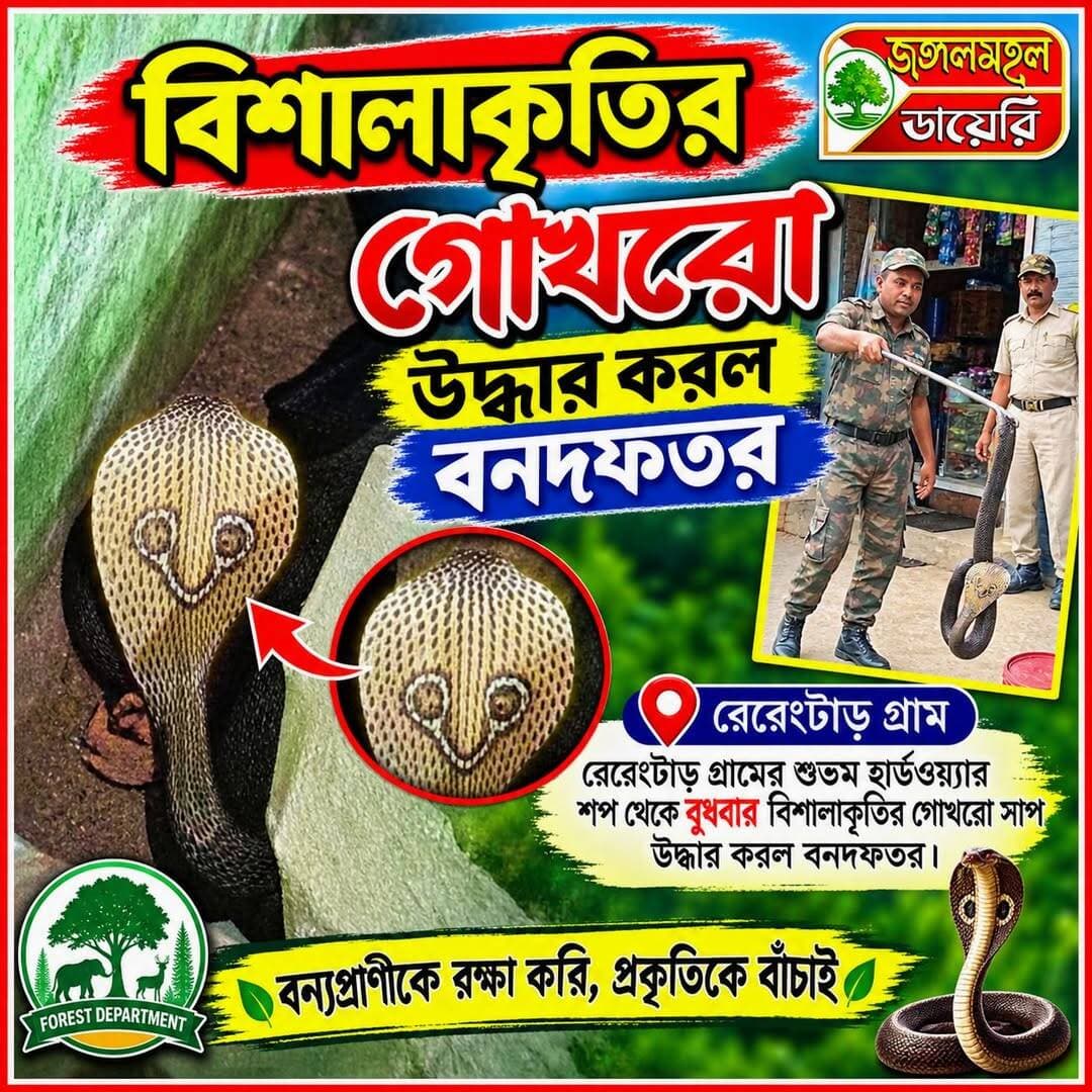<nis:link nis:type=tag nis:id=snake nis:value=snake nis:enabled=true nis:link/> <nis:link nis:type=tag nis:id=forestoffice nis:value=forestoffice nis:enabled=true nis:link/> <nis:link nis:type=tag nis:id=purulia nis:value=purulia nis:enabled=true nis:link/> <nis:link nis:type=tag nis:id=viralreelschallenge nis:value=viralreelschallenge nis:enabled=true nis:link/> <nis:link nis:type=tag nis:id=highlightseveryone nis:value=highlightseveryone nis:enabled=true nis:link/> <nis:link nis:type=tag nis:id=trendingreels nis:value=trendingreels nis:enabled=true nis:link/> <nis:link nis:type=tag nis:id=snakebites nis:value=snakebites nis:enabled=true nis:link/>