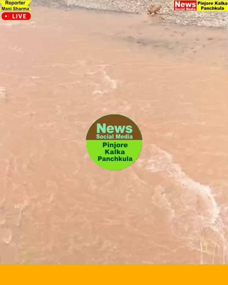 घग्गर नदी में डूबने से 16 वर्षीय युवक की मौत, दोस्तों के साथ घूमने आया था कुराली का अनिकेत।
Like /comment /share / follow instagram and you tube subscribe
https://nsmpkp.com News Social Media Pinjore Kalka Panchkula Reporter mani Pinjore / kalka 3-9-2026,
my E-mail:manisharma4009@ gmail.com what's app no:-9896944009
https://www.instagram.com/reel/Dc0gWM9B3gh/?igsi=MTA2MGM4OHAxcWtraA==
https://youtube.com/shorts/NrwtDdGwK-Y?si=eG-41xWAFJjo-xcG