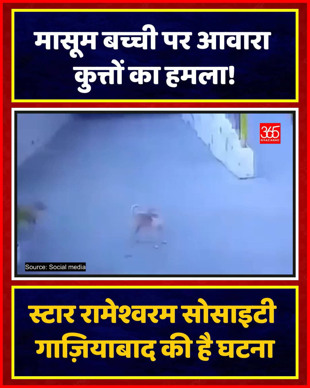 सोसाइटी में मासूम बच्ची पर आवारा कुत्तों का हमला!
गाजियाबाद की स्टार रामेश्वरम सोसाइटी में आवारा कुत्तों ने मासूम पर हमला कर दिया। पूरी रोंगटे खड़े कर देने वाली घटना CCTV में कैद। स्थानीय निवासियों में भारी आक्रोश, प्रशासन से सख्त कार्रवाई की मांग।
Ghaziabad News, Raj Nagar Extension, Star Rameshwaram Society, Stray Dog Attack, Ghaziabad Stray Dogs, UP News, Viral Video Ghaziabad, Dog Attack CCTV
