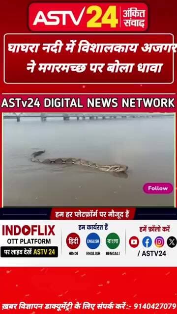 घाघरा नदी में विशालकाय अजगर ने मगरमच्छ पर बोला धावा, वीडियो वायरल