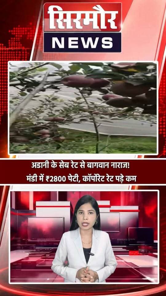 अडानी के सेब रेट से बागवान नाराज! मंडी में ₹2800 पेटी, कॉर्पोरेट रेट पड़े कम