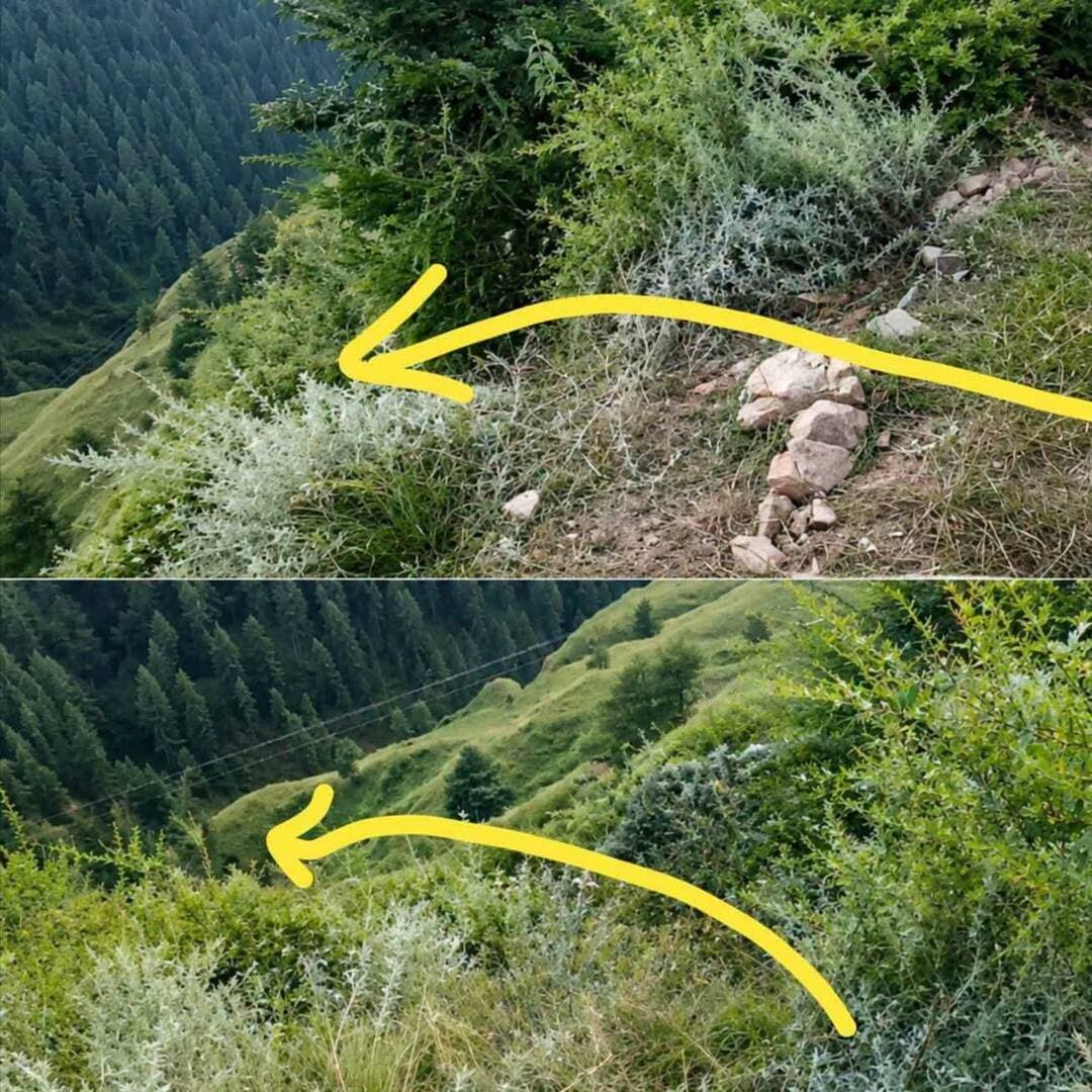 *चौपाल...खाई में गिरा वाहन, स्कूली छात्रा की मौ#त व सात बच्चे घायल
आज दिनांक 03.09.2026 को शाम 5:33 बजे पुलिस थाना चौपाल में एक वाहन दुर्घटना के संबंध में सूचना प्राप्त हुई। सूचना देने वाले शिकायतकर्ता ने बताया कि एक फॉर्च्यूनर वाहन, पंजीकरण संख्या HP 08B 3131, स्थान झाड़ी में दुर्घटनाग्रस्त हो गया। उक्त वाहन में GSSS देवत के कुल 8 विद्यार्थी सवार थे।इस दुर्घटना में 8 विद्यार्थियों में से एक छात्रा साक्षी पुत्री श्री रमेश, गांव शंठा, डाकघर देवत, तहसील चौपाल, आयु 11 वर्ष की मृत्यु हो गई तथा अन्य 7 बच्चे घायल हुए हैं।घायल 7 बच्चों में से एक बच्चे आयु 10 वर्ष को उपचार हेतु IGMC शिमला रेफर किया गया है।
आगामी कार्रवाई जारी है।