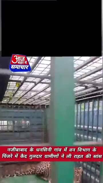 नजीबाबाद में वन विभाग के पिंजरे में कैद गुलदार ग्रामीण राहत की सांस #asm_news