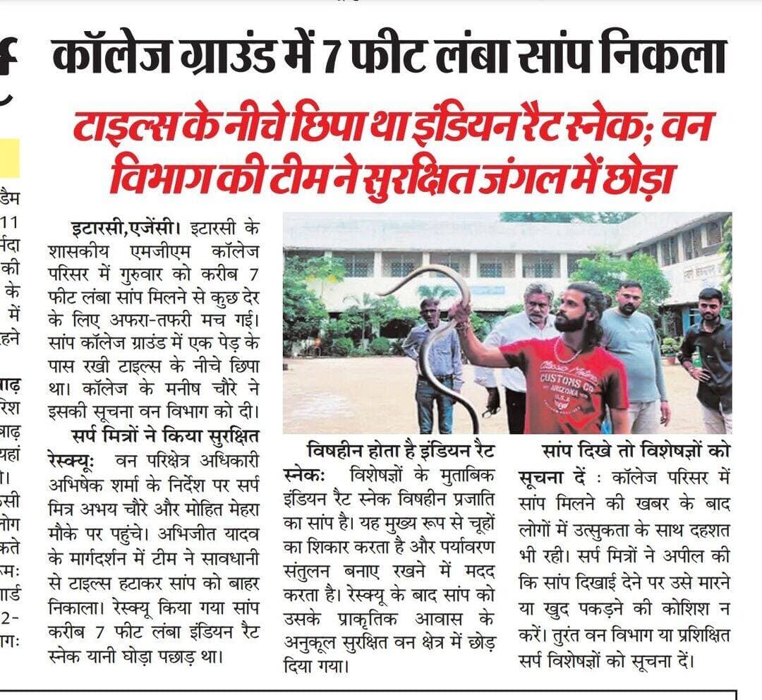 कॉलेज ग्राउंड में 7 फीट लंबा सांप निकला