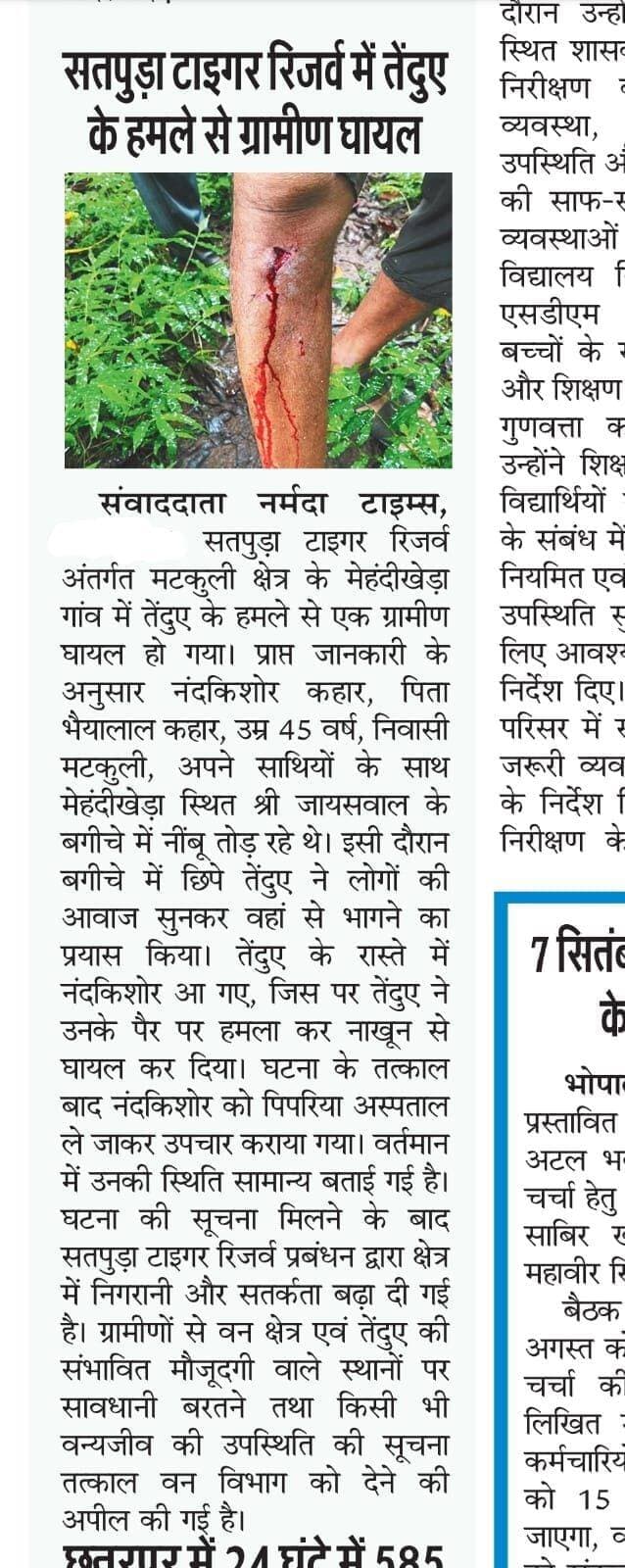 सतपुड़ा टाइगर रिजर्व में तेंदुए के हमले से ग्रामीण घायल