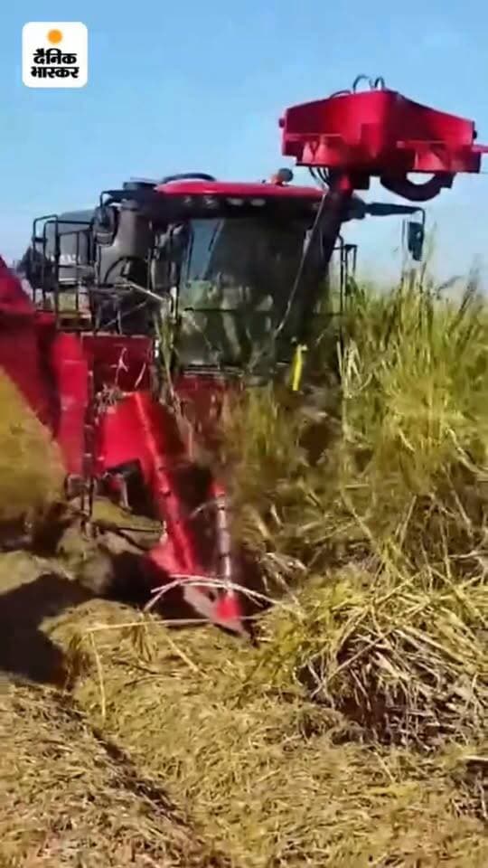 ₹70 क क्यों हुआ चीनी क्या सिर्फ एथेनॉल वजह है देखिए पूरा वीडियो और जानिए पूरी हकीकत, अच्छा लगे तो शेयर करें Facebook viral# Jamui district#Bihar politics