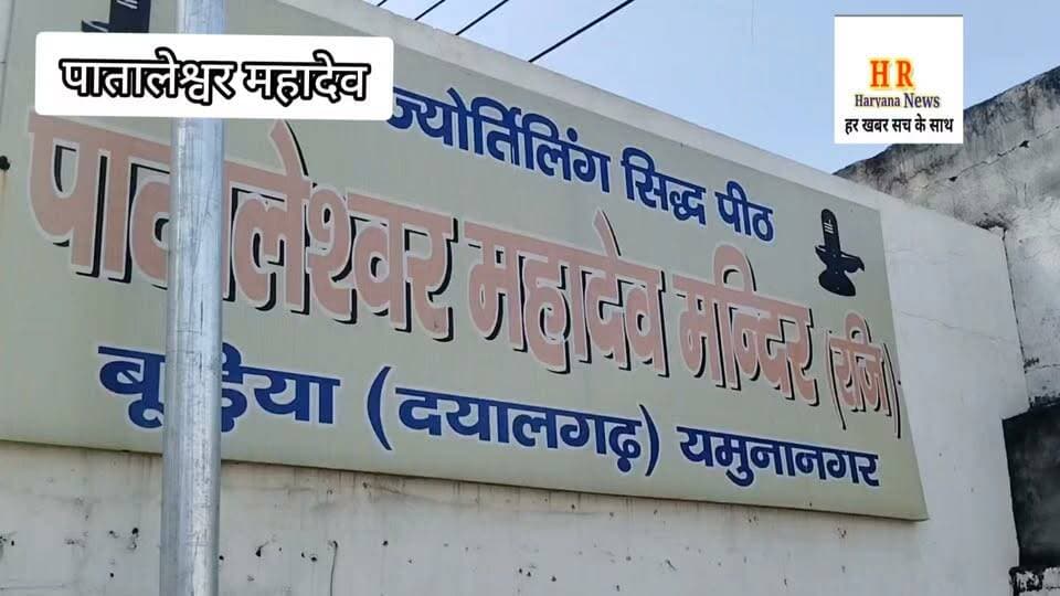 पातालेश्वर महादेव मंदिर बुडिया दयालगढ़