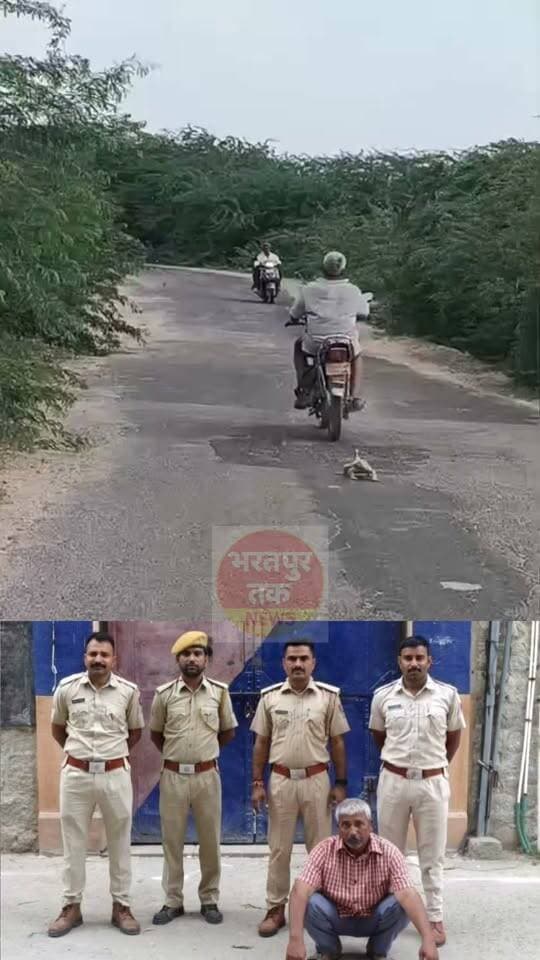 मॉनिटर लिजर्ड को बाइक से बांधकर घसीटने का वीडियो वायरल, वन विभाग की बड़ी कार्रवाई
पाली। रोहट क्षेत्र के दूदिया गांव में मॉनिटर लिजर्ड (पाटगोह) को बाइक से बांधकर घसीटने का वीडियो वायरल होने के बाद वन विभाग ने वन्यजीव संरक्षण अधिनियम के तहत बड़ी कार्रवाई की है। मामले में दूदिया निवासी ओमाराम पुत्र मोहनलाल सरगरा को गिरफ्तार किया गया है।
वन विभाग ने आरोपी के खिलाफ वन्यजीव संरक्षण अधिनियम, 1972 के तहत मामला दर्ज किया। कार्रवाई के बाद आरोपी को न्यायालय में पेश किया गया, जहां सीजेएम कोर्ट ने उसे 15 दिन की न्यायिक अभिरक्षा में भेज दिया।
यह कार्रवाई उप वन संरक्षक पाली सरवन कुमार रेड्डी के निर्देशन में तथा क्षेत्रीय वन अधिकारी प्रकाश कुमार चौधरी के नेतृत्व में की गई। वन विभाग की कार्रवाई के बाद वन्यजीवों के साथ क्रूरता करने वालों में हड़कंप मच गया है।
वन विभाग ने वन्यजीव संरक्षण को लेकर सख्ती बरतते हुए स्पष्ट किया है कि संरक्षित वन्यजीवों के साथ किसी भी प्रकार की क्रूरता या कानून का उल्लंघन करने पर नियमानुसार कार्रवाई की जाएगी।