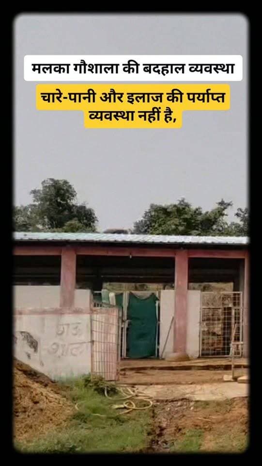 मलका गौशाला में अव्यवस्थाओं के आरोप, गोमाता के इलाज और चारे-पानी पर उठे सवाल!
मलका गौशाला की व्यवस्थाओं को लेकर गंभीर सवाल खड़े हुए हैं। आरोप है कि गौशाला में चारे-पानी और इलाज की पर्याप्त व्यवस्था नहीं है, कई गोवंश बीमार हैं और कुछ के शरीर पर घाव होने के बावजूद उपचार नहीं किया जा रहा।
दावा है कि गौशाला में लगातार गोवंश की मौतें भी हो रही हैं। आखिर जिम्मेदारों की नजर कब पड़ेगी? क्या ग्राम पंचायत और जिला प्रशासन इस मामले की जांच कर कार्रवाई करेगा?
आपकी क्या राय है? कमेंट में बताएं।
#MPNews #LocalNews #ViralNews