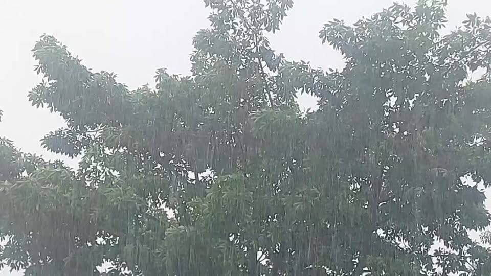 जिले में मूसलाधार बारिश शुरू