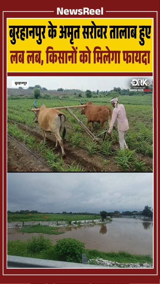 बुरहानपुर जिले में बारिश के बाद अमृत सरोवर तालाब लबालब हो गए हैं। इससे किसानों को सिंचाई, पशु-पक्षियों को पानी और मत्स्य पालन को बढ़ावा मिलेगा। प्रशासन के अनुसार जलस्रोतों से कृषि, रोजगार और ग्रामीण अर्थव्यवस्था को भी लाभ मिलेगा।
#burhanpur #trending #viral #instagood #newsupdate