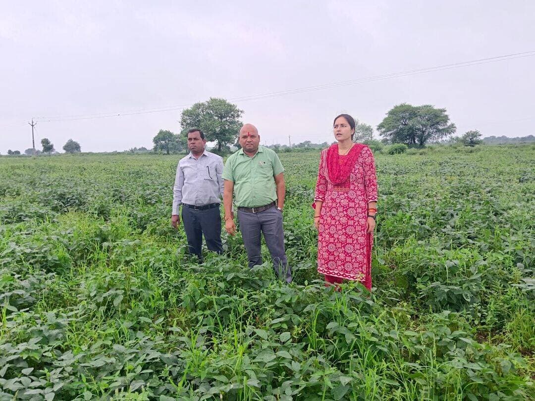 एसडीएम एवं तहसीलदार ने संतापुर और खुजरार में सोयाबीन फसल का किया निरीक्षण
..
कीट प्रकोप की स्थिति का लिया जायजा, किसानों को फसल सुरक्षा के संबंध में दी आवश्यक सलाह
..
कलेक्टर श्री अंशुल गुप्ता के निर्देशानुसार जिले में सोयाबीन फसल की स्थिति एवं कीट प्रकोप की सतत निगरानी की जा रही है। इसी क्रम में आज ग्यारसपुर अनुविभाग में एसडीएम श्रीमती शशि मिश्रा एवं तहसीलदार द्वारा संयुक्त रूप से ग्राम संतापुर एवं खुजरार में किसानों के खेतों का निरीक्षण किया गया। निरीक्षण के दौरान अधिकारियों ने सोयाबीन फसल में दिखाई दे रहे कीट प्रकोप एवं फसल की वर्तमान स्थिति का जायजा लिया। उन्होंने खेतों में पहुंचकर किसानों से फसल की स्थिति, कीटों के प्रकोप तथा फसल में अपनाए जा रहे सुरक्षा उपायों के संबंध में जानकारी ली।
अधिकारियों ने किसानों को सलाह दी कि सोयाबीन फसल में किसी भी प्रकार के कीट या रोग के लक्षण दिखाई देने पर तत्काल कृषि विभाग के मैदानी अमले से संपर्क करें। साथ ही कृषि विशेषज्ञों की सलाह के अनुसार ही अनुशंसित कीटनाशकों एवं दवाओं का उपयोग करने की बात कही गई।
एसडीएम श्रीमती शशि मिश्रा ने संबंधित अधिकारियों को निर्देशित किया कि क्षेत्र में सोयाबीन फसल की स्थिति पर निरंतर निगरानी रखी जाए तथा किसानों को समय-समय पर फसल सुरक्षा एवं कीट नियंत्रण संबंधी तकनीकी मार्गदर्शन उपलब्ध कराया जाए। उन्होंने कहा कि किसानों की समस्याओं का मौके पर परीक्षण कर आवश्यक कार्रवाई एवं मार्गदर्शन सुनिश्चित किया जाए। निरीक्षण के दौरान स्थानीय राजस्व एवं संबंधित विभागीय अमला भी उपस्थित रहा। अधिकारियों ने किसानों से अपील की कि वे फसल में असामान्य स्थिति अथवा कीट प्रकोप दिखाई देने पर इसकी सूचना तत्काल संबंधित विभाग को दें, ताकि समय रहते आवश्यक उपाय किए जा सकें। <nis:link nis:type=tag nis:id=vidisha nis:value=Vidisha nis:enabled=true nis:link/>