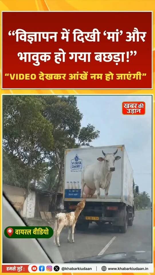 मां समझकर तस्वीर के पास पहुंचा बछड़ा! 🥹❤️ 🐄❤️ VIDEO देखकर आंखें नम हो जाएंगी”
#ViralVideo #MotherLove #Cow #EmotionalVideo #khabarkiudaan