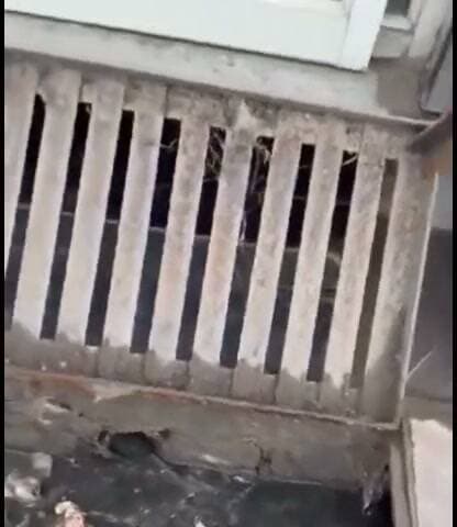 News video thumbnail