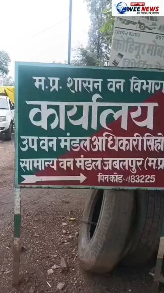 आम के पेड़ को काटकर बनाए गिट्टे, बिना दस्तावेज के हो रहा था अवैध परिवहन सोम खुर्द में वन विभाग की कार्रवाई, 16 क्विंटल आम की लकड़ी से भरा वाहन जब्त; चालक भी पकड़ा गया