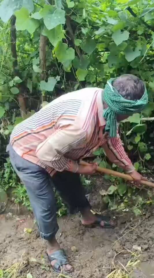 हमीरपुर-:स्कूल चलो अभियान के बीच बच्चों के सामने बड़ी मुसीबत!
हमीरपुर में कीचड़ और दलदल भरे रास्ते से स्कूल जाने को मजबूर मासूम बच्चे,
विद्यालय पहुंचने के लिए बच्चों को पहले पार करना पड़ रहा कीचड़ से भरा रास्ता,
दलदल भरे रास्ते से स्कूल जाते छोटे-छोटे बच्चों का वीडियो हुआ वायरल,
बरसात में रास्ते की हालत बनी बच्चों के लिए परेशानी का सबब,
ग्रामीणों का सवाल—जब स्कूल तक पहुंचने का रास्ता ही बदहाल है तो बच्चे पढ़ने जाएं कैसे?
सरकार के स्कूल चलो अभियान पर भी उठ रहे सवाल,
मामला मुस्करा विकासखंड के गलिहा मऊ गांव का।