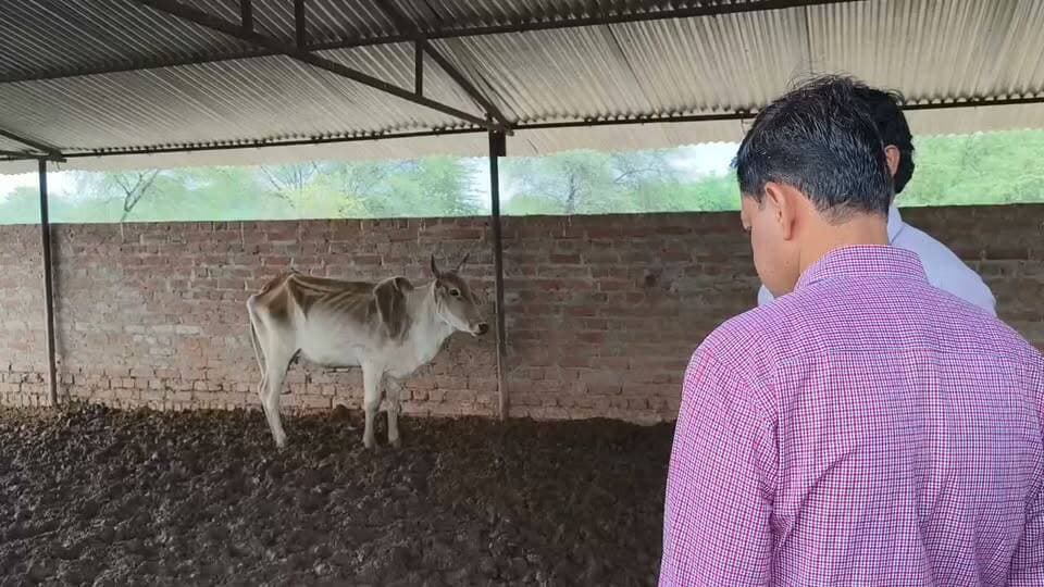 हमीरपुर के गहरौली गांव की बदहाल गौशाला का मामला, डीएम के आदेश के बाद निरीक्षण करने पहुंचे सीवीओ भूपेंद्र यादव और बीडीओ राजीव कुमार, गौशाला के जानवर किये जायेंगे दूसरी जगह स्थानांतरण साथ ही जांच के बाद दोषियों के खिलाफ की जाएगी कड़ी कार्रवाई
@dmhamirpurup @CdoHamirpur
@CMOfficeUP