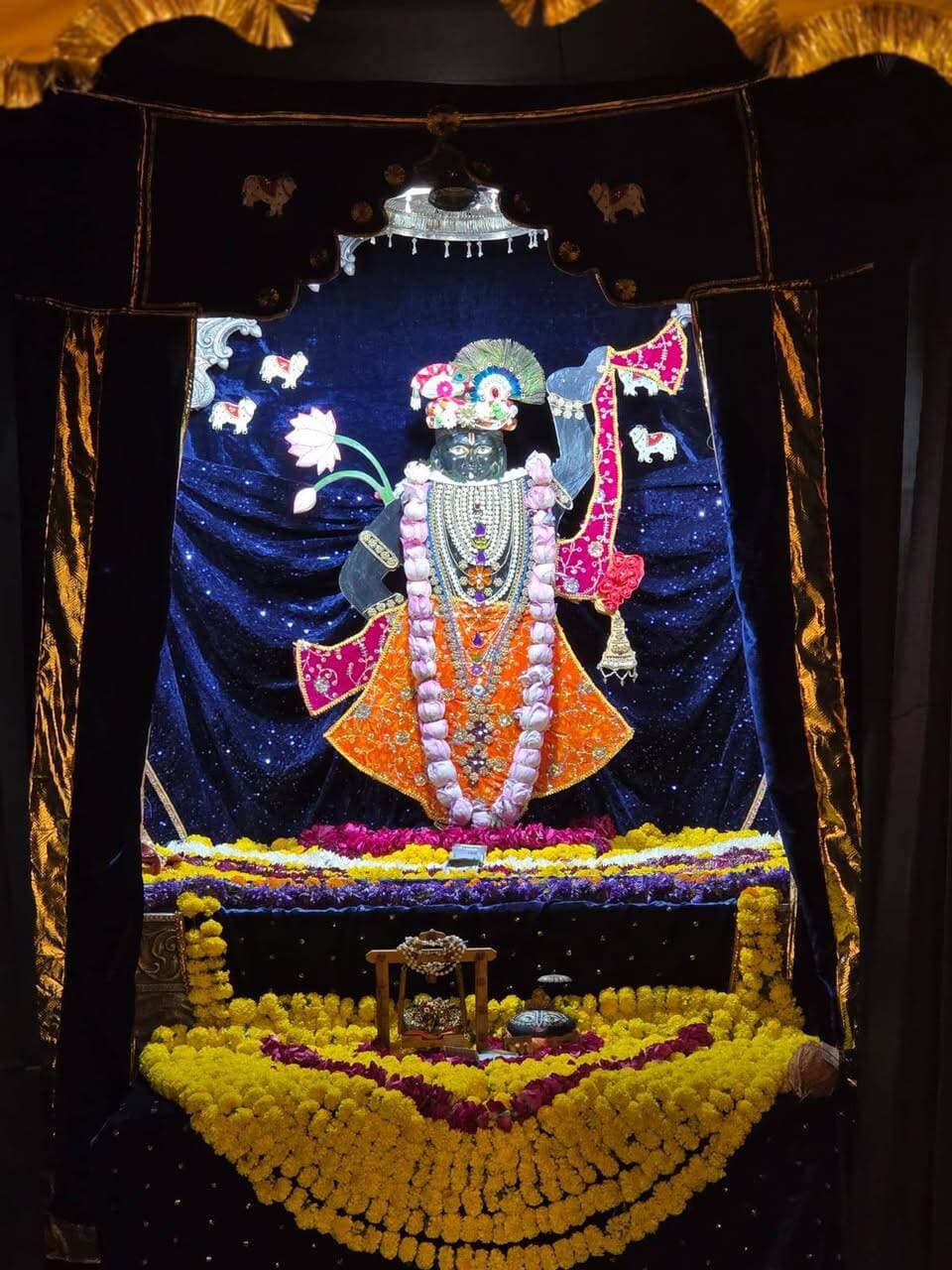 *जन्माष्टमी पर श्याम बाबा को श्रीनाथ के स्वरूप में भव्य रूप से सजाया*
*शास्त्रीनगर श्याम मंदिर पर उत्साह से मनाया गया कृष्ण जन्माष्टमी महोत्सव*
भीलवाड़ा:निलेश कांठेड़ ( वरिष्ठ पत्रकार), 4 सितम्बर। शहर में शास्त्रीनगर सी सेक्टर स्थित श्री श्याम मंदिर में कृष्ण जन्माष्टमी महोत्सव शुक्रवार को पारम्परिक श्रद्धा एवं उत्साह के साथ मनाया गया। इस अवसर पर श्री श्याम मंदिर मण्डल सेवा समिति की ओर से मंदिर परिसर में आकर्षक सजावट की गई ओर श्याम बाबा को श्रीनाथ के स्वरूप में भव्य रूप से सजाया गया है। बाबा भोलेनाथ को महाकाल स्वरूप में सजाया गया है। मंदिर परिसर में भगवान श्रीराम के अद्भुत दर्शन, जगन्नाथजी के साक्षात दर्शन, वृंदावन के बांके बिहारीजी के मनमोहक दर्शन, जयपुर के गोविन्ददेवजी के दिव्य दर्शन सहित भगवान कृष्ण से जुड़ी विभिन्न आकर्षक झांकिया भी सजाई गई। बाबा श्याम का भव्य नौका विहार का आयोजन भी किया गया। बच्चों के लिए श्री कृष्ण एवं राधा बनो प्रतियोगिता का आयोजन किया गया। इसमें बच्चें कृष्ण या राधा की आकर्षक वेशभूषा में तैयार होकर पहुंचे। मध्यरात्रि में भगवान श्री कृष्ण के जन्म पर मंदिर में विशेष आरती की गई एवं श्रद्धालुओं को प्रसाद वितरित किया गया। मंदिर परिसर में श्याम बाबा एवं भगवान की झांकियों के दर्शन के लिए शाम से देर रात तक श्रद्धालु उमड़ते रहे। मंदिर मण्डल सेवा समिति के पदाधिकारी एवं सदस्य देर रात तक व्यवस्थाओं को सुचारू बनाए रखने में जुटे रहे।