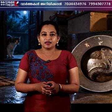 സമയത്തിന് പൂച്ച കണ്ടില്ലായിരുന്നെങ്കിൽ ദുരന്തം! കണ്ണൂർ തില്ലങ്കേരിയിൽ നടന്ന ഞെട്ടിക്കുന്ന സംഭവം