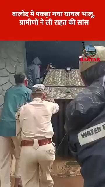बालोद में पकड़ा गया घायल भालू, ग्रामीणों ने ली राहत की सांस