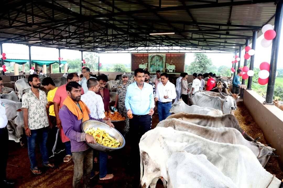 गौ-संरक्षण अभियान में अपना सहयोग प्रदान कर इसे सफल बनाएं-कलेक्टर श्री यादव
=
जन्माष्टमी पर्व पर वैष्णवी गोशाला और ग्वारी गोशाला पहुंचे कलेक्टर श्री यादव
==
गौमाता का किया पूजन अर्चन, खिलाया गुड़ एवं केला
=
कलेक्टर श्री प्रताप नारायण यादव ने कृष्ण जन्माष्टमी के पावन अवसर पर मारुताल स्थित वैष्णवी गौशाला पहुंचकर भगवान श्रीकृष्ण का विधिवत पूजन-अर्चन किया और गौ माताओं का भी पूजन कर केला एवं गुड़ खिलाकर गौ-सेवा की। इस दौरान उन्होंने जिलेवासियों को जन्माष्टमी की शुभकामनाएं दीं और गौ-संरक्षण को लेकर एक महत्वपूर्ण संदेश दिया। उन्होंने ग्वारी गौ शाला में भी गौमाता की पूजा कर गुड़ और केला खिलाकर सेवा की।
कलेक्टर श्री यादव ने कहा भगवान श्रीकृष्ण ने कहा है कि गौमाता मां की तरह वात्सल्य और पोषण की मूर्ति है, जो हमें अमृत के समान दूध, दही और घी देती है। भगवान कृष्ण ने अपना बचपन गौ सेवा और गौ पूजा से आरंभ किया, जिससे उनका 'गोपाल' और 'गोविंदा' नाम सार्थक हुआ, वे समाज के लिए गौ रक्षा और गौ सेवा को सबसे उत्तम धर्म और कर्तव्य मानते थे।
सड़क से गौशाला की ओर विशेष अभियान
कलेक्टर श्री यादव ने बताया गौ-संरक्षण हेतु जिला प्रशासन द्वारा बलराम जयंती के शुभ अवसर पर 'सड़क से गौशाला की ओर' विशेष अभियान प्रारंभ किया गया है। इस अभियान के तहत सड़कों पर घूमने वाली, निराश्रित और असहाय गौवंश को सुरक्षित रूप से गौशालाओं में पहुंचाया जा रहा है। उन्होंने जानकारी दी कि अभियान के शुरुआती दो दिनों के भीतर ही लगभग एक हजार गौवंश को गौशालाओं में पहुंचाकर सुरक्षित किया जा चुका है।
दुर्घटनाओं पर रोक और सुरक्षा का उद्देश्य
कलेक्टर श्री यादव ने बताया आए दिन गौवंश के सड़कों पर बैठने से गंभीर दुर्घटनाएं होती हैं, जिनमें आम नागरिक घायल होते हैं और गौ माताएं भी जख्मी हो जाती हैं। इन दुर्घटनाओं से निजात दिलाने और गौवंश की सुरक्षा सुनिश्चित करने के उद्देश्य से ही यह अभियान चलाया जा रहा है।
नागरिकों और गौशाला संचालकों से अपील
कलेक्टर श्री यादव ने सभी गौशाला संचालकों से आह्वान किया कि शासन द्वारा दिए गए इस पवित्र कार्य को तन, मन, धन और पूरी ईमानदारी के साथ निभाएं। साथ ही, उन्होंने जिले के समस्त नागरिकों से अपील की कि वे इस गौ-संरक्षण अभियान में अपना सहयोग प्रदान कर इसे सफल बनाएं। अंत में उन्होंने पंक्तियों के माध्यम से गौ-सेवा का महत्व बताते हुए सभी से गौ-सेवा को संस्कार बनाने और प्रेम व करुणा को अपने व्यवहार में उतारने का संदेश दिया।