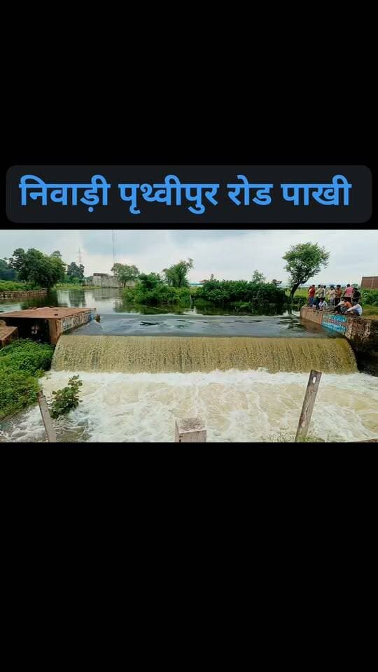 निवाड़ी - पृथ्वीपुर रोड, पाखी का खूबसूरत नज़ारा