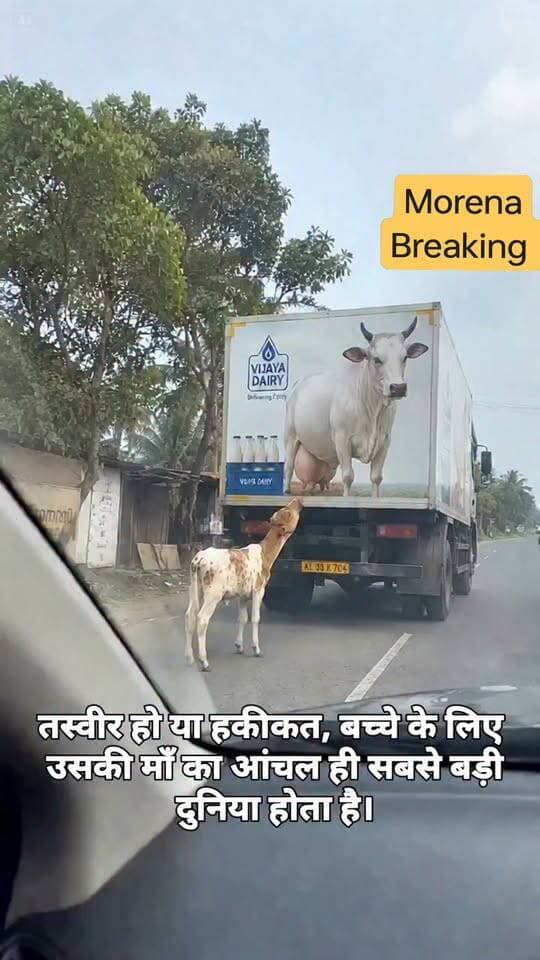 तस्वीर हो या हकीकत, बच्चे के लिए उसकी माँ का आंचल ही सबसे बड़ी दुनिया होता है।