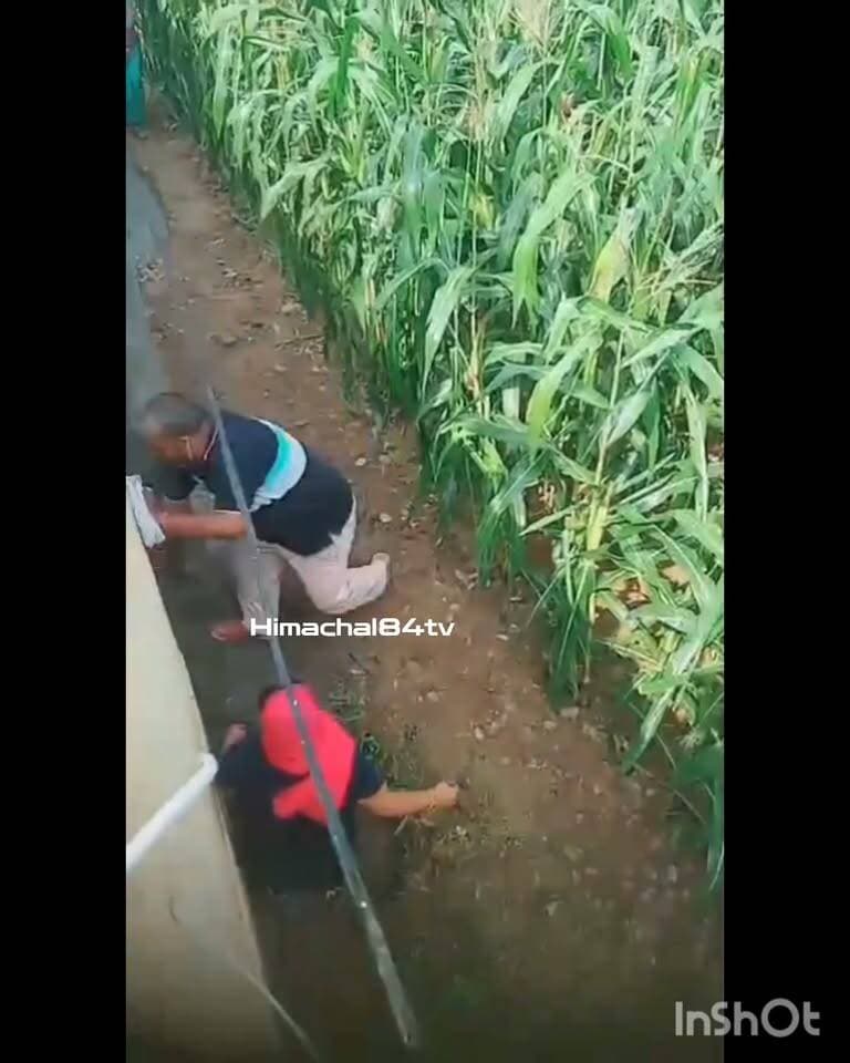 ग्राम पंचायत धमांदरी की प्रधान और पति को लेकर विवाद, शराब के आरोपों से मचा हड़कंप
प्रधान के पति पर शराब के नशे में हंगामा करने के आरोप, मामले को लेकर क्षेत्र में चर्चाओं का दौर
#धमांदरी #ग्रामपंचायत #पंचायतप्रधान #पंचायतसमाचार #हिमाचलसमाचार #स्थानीयसमाचार #पंचायतविवाद #हिमाचलप्रदेश #HimachalNews #BreakingNews