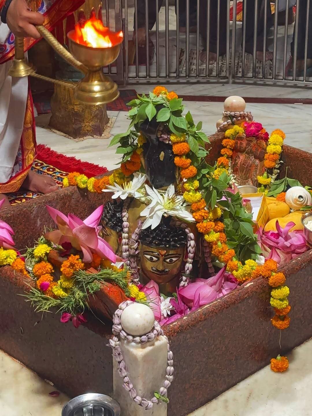 प्रभु कृपा 😇 बनाए रखिएगा । हर हर महादेव 🔱
Follow :- @from_prayagraj_
<nis:link nis:type=tag nis:id=mahadev nis:value=mahadev nis:enabled=true nis:link/> <nis:link nis:type=tag nis:id=harharmahadev🙏🌿🕉️ nis:value=harharmahadev🙏🌿🕉️ nis:enabled=true nis:link/> <nis:link nis:type=tag nis:id=fromprayagraj nis:value=fromprayagraj nis:enabled=true nis:link/> <nis:link nis:type=tag nis:id=prayagraj nis:value=prayagraj nis:enabled=true nis:link/>