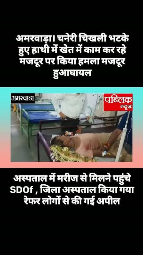 अमरवाड़ा। चिखली चनेरी के पास जंगल से भटके हुए हाथी ने खेत में काम कर रहा है मजदूर पर किया हमला मजदूर गंभीर रूप से घायल अमरवाड़ा हॉस्पिटल में इलाज के बाद जिला अस्पताल किया गया रेफर मौके पर पहुंची वन विभाग के अधिकारी घायल व्यक्ति की स्थिति का लिया जाएगा
#amarwaracity #madhyapradesh #chhindwara #explorepage✨ #explorepage✨