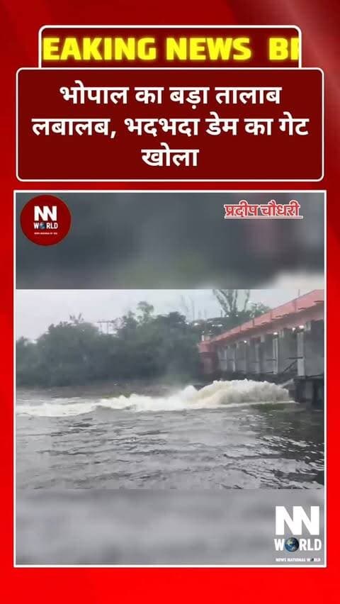 भोपाल का बड़ा तालाब लबालब, भदभदा डेम का गेट खोला
भोपाल। राजधानी भोपाल में लगातार बारिश के बाद बड़ा तालाब लबालब हो गया है। जलस्तर बढ़ने के बाद भदभदा डेम का एक गेट खोला गया। पूजा-अर्चना के बाद भदभदा डेम का नंबर-6 गेट खोला गया।
इस दौरान महापौर, एमआईसी सदस्य और नगर निगम आयुक्त सहित अधिकारी मौजूद रहे। गेट खुलने के बाद पानी की निकासी शुरू हो गई है।
भोपाल | भदभदा डेम
#Bhopal #BadaTalab #BhadbhadaDam #BhopalRain #MadhyaPradesh