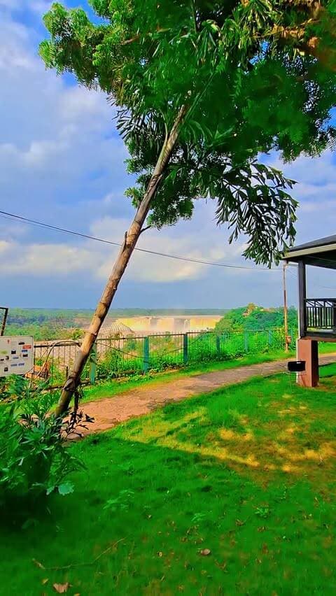 🌿 Nature has its own way of healing the soul. 💚
Lost in the beauty of greenery, fresh air & peaceful vibes. 🌳✨
Just nature, peace and unforgettable moments. 🍃💦
#naturelovers #naturevibes🍃 #chhattisgarh #waterfalls #monsoonvibes