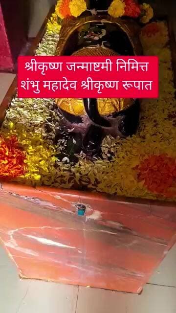 श्री काशी विश्वेश्वर श्री कृष्ण रूपात #टीव्ही9मराठी #marathinews #gaurisarri#duet #shambhu #mahadev
