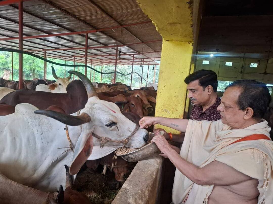 जिले की गौशालाओं में श्रद्धा और उल्लास के साथ मनाया गया श्रीकृष्ण जन्माष्टमी पर्व
गौ पूजन कर गौ माता को खिलाया गया गुड़, दाना एवं हरी घास, गौ सेवा और संरक्षण का दिया संदेश
भगवान श्रीकृष्ण जन्माष्टमी के पावन पर्व पर जिले की विभिन्न गौशालाओं में श्रद्धा एवं उत्साह के साथ धार्मिक कार्यक्रम आयोजित किए गए। इस अवसर पर गौशाला परिसरों में भगवान श्रीकृष्ण की पूजा-अर्चना के साथ विधि-विधान से गौ पूजन किया गया तथा गौ माता को गौ ग्रास खिलाकर गौ सेवा एवं संरक्षण का संदेश दिया गया।
जिले की विभिन्न गौशालाओं में आयोजित कार्यक्रमों में जनप्रतिनिधियों, गौशाला संचालकों एवं पशुपालन विभाग के अधिकारियों ने सहभागिता की। गौशालाओं में विशेष सजावट एवं धार्मिक आयोजनों के चलते पूरे परिसर में भक्तिमय वातावरण बना रहा। कार्यक्रमों के माध्यम से गौ सेवा, गौ संरक्षण एवं भारतीय संस्कृति में गौ माता के महत्व के प्रति जनजागरूकता का संदेश भी दिया गया।
श्रीकृष्ण जन्माष्टमी के शुभ अवसर पर महर्षि दयानंद गौशाला गुरुकुल, नर्मदापुरम में भी विशेष कार्यक्रम आयोजित किया गया। गुरुकुल के प्रधानाचार्य श्रीमान सत्यसिंधु, नगरपालिका अध्यक्ष नर्मदापुरम श्रीमती नीतू यादव, अध्यक्ष मध्यप्रदेश तैराकी संघ श्री पीयूष शर्मा, उप संचालक पशु चिकित्सा सेवाएं नर्मदापुरम डॉ. शैलेन्द्र कुमार नेमा, सहायक पशु चिकित्सा अधिकारी श्री तेज मोहन पटेल एवं श्री जीतू तिवारी की उपस्थिति में विधि-विधान से गौ पूजन किया गया।
इस दौरान गौ माता को गुड़, दाना एवं हरी घास खिलाई गई।
पिपरिया स्थित हथवास गौशाला, माखननगर की श्रीजी गौशाला सहित जिले की अन्य गौशालाओं में भी श्रीकृष्ण जन्माष्टमी पर्व धूमधाम से मनाया गया। श्रद्धालुओं एवं उपस्थित जनों द्वारा गौ पूजन कर गौ माता को गौ ग्रास खिलाया गया। इस दौरान उपस्थित जनप्रतिनिधियों एवं अधिकारियों ने गौ सेवा को भारतीय संस्कृति और परंपरा का महत्वपूर्ण अंग बताते हुए लोगों से नियमित रूप से गौ सेवा एवं संरक्षण के लिए आगे आने का आह्वान किया।
#narmadapuram CM Madhya Pradesh Dr Mohan Yadav Jansampark Madhya Pradesh