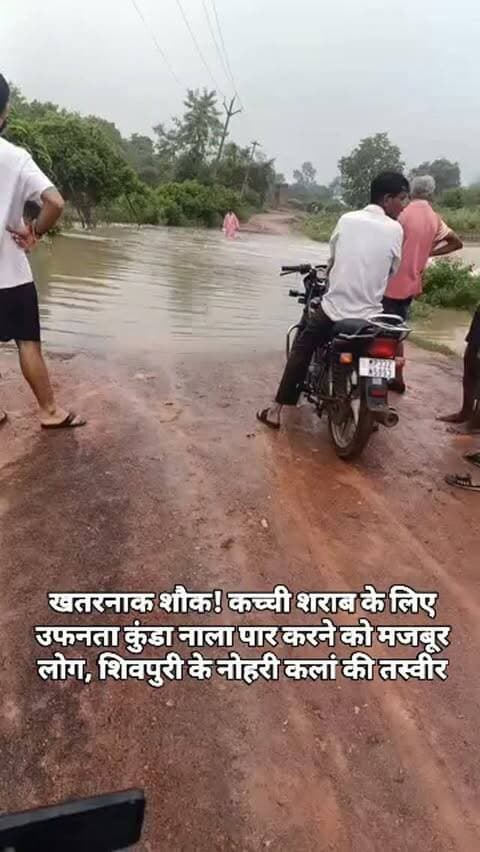 खतरनाक शौक! कच्ची शराब के लिए उफनता कुंडा नाला पार करने को मजबूर लोग, शिवपुरी के नोहरी कलां की तस्वीर
